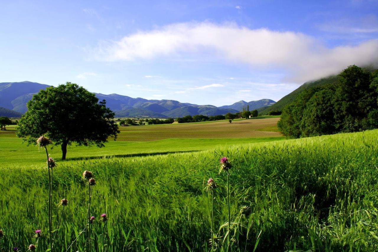Agriturismo La Cascina Di Opaco นอร์ชา ภายนอก รูปภาพ
