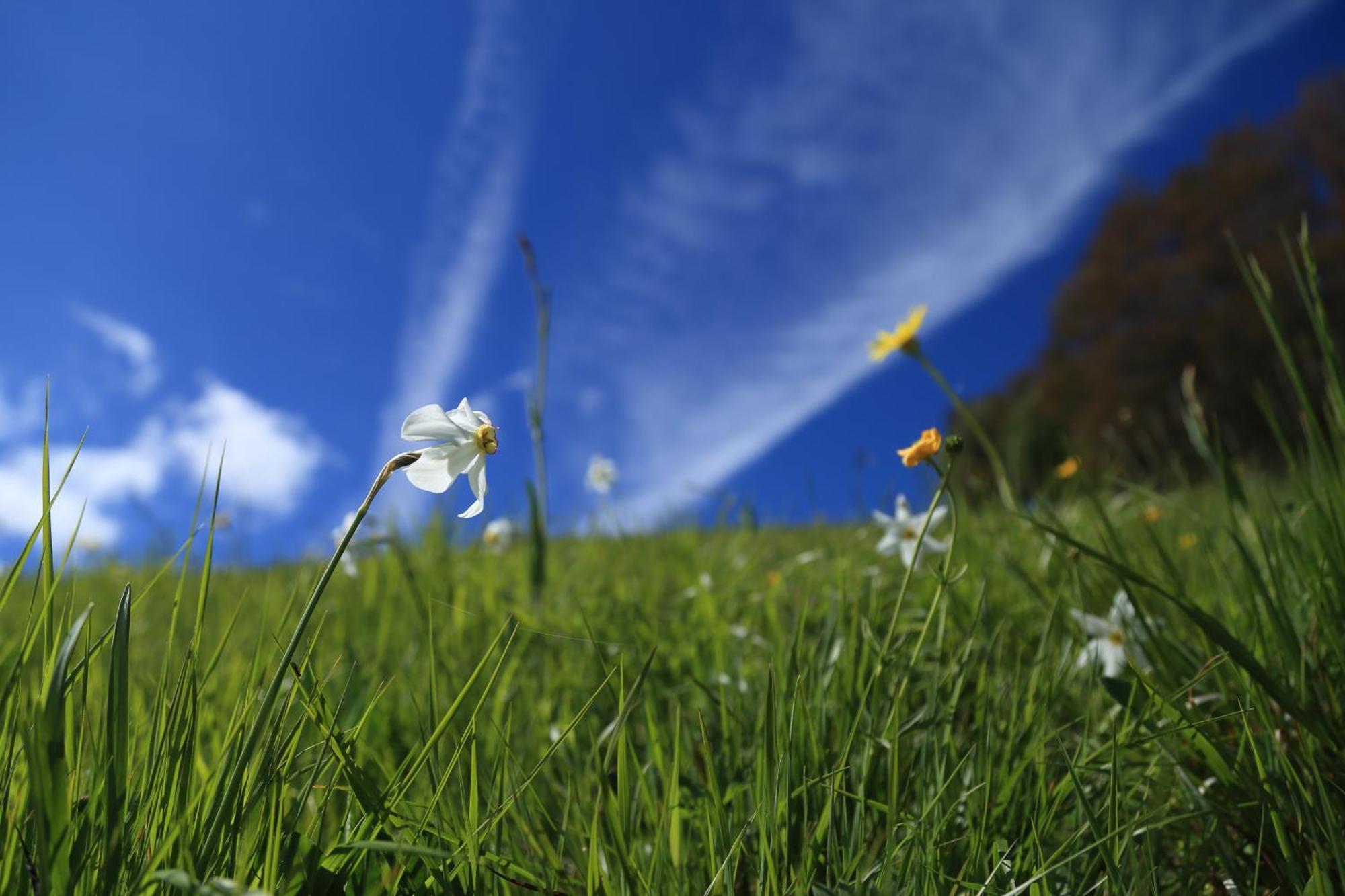 Agriturismo La Cascina Di Opaco นอร์ชา ภายนอก รูปภาพ