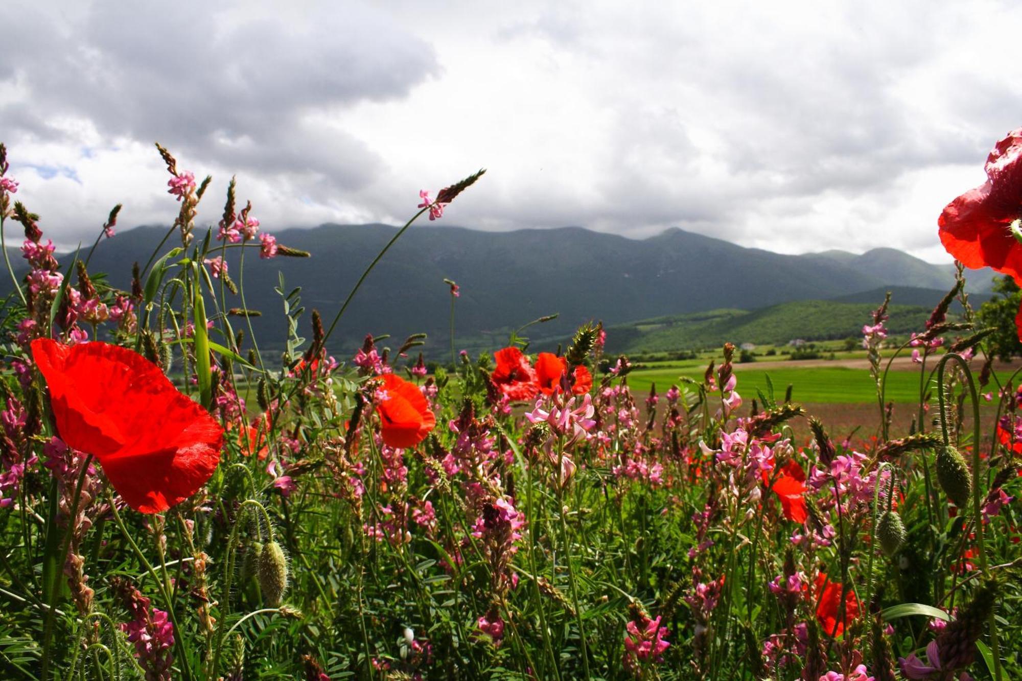 Agriturismo La Cascina Di Opaco นอร์ชา ภายนอก รูปภาพ